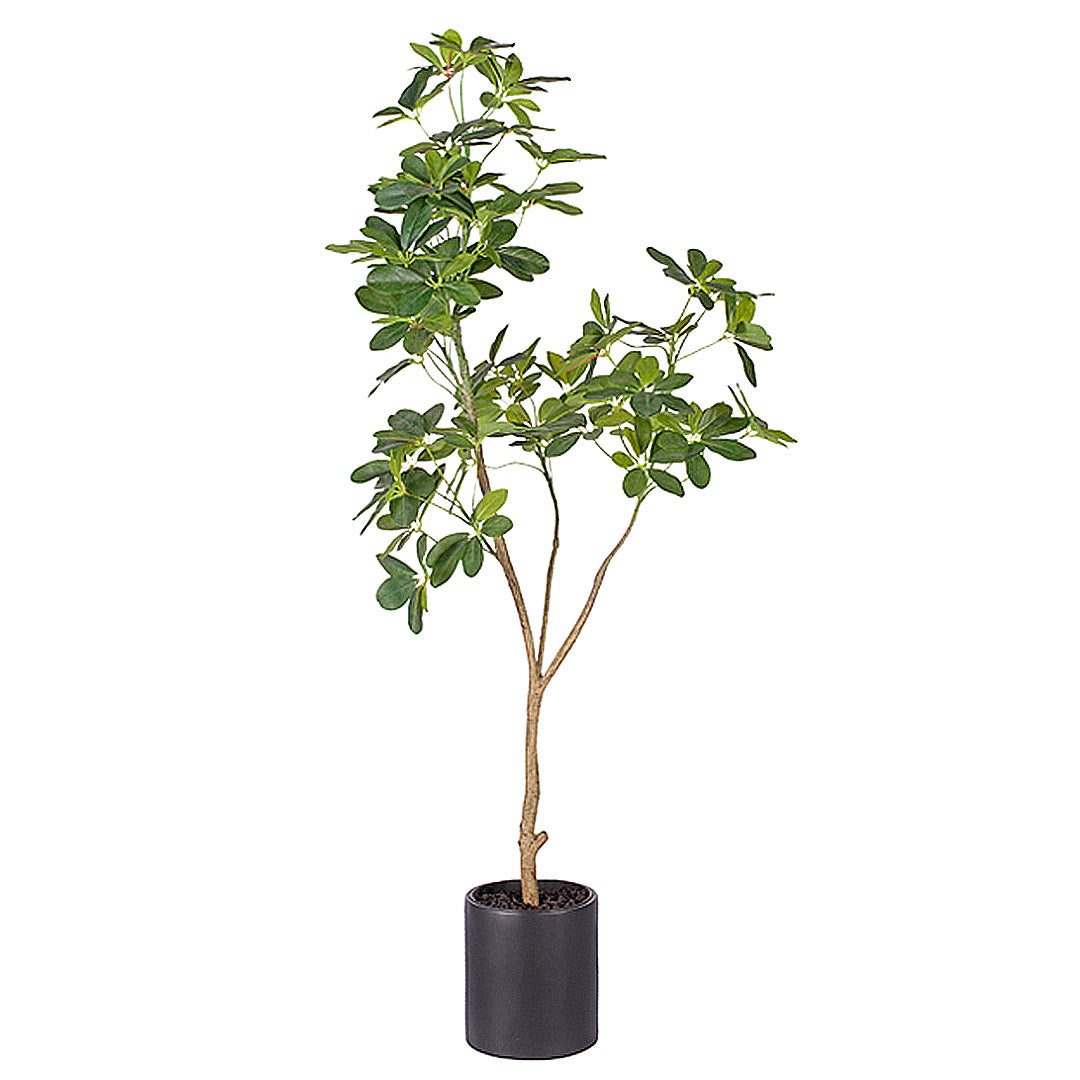 160cm Schefflera Artificial Plant