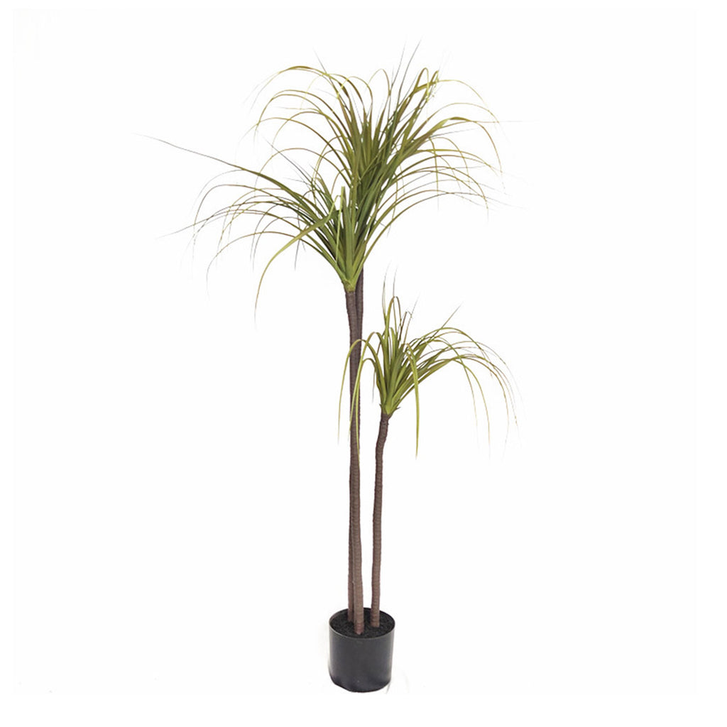 145cm Artificial Indoor Dragon Blood Tree