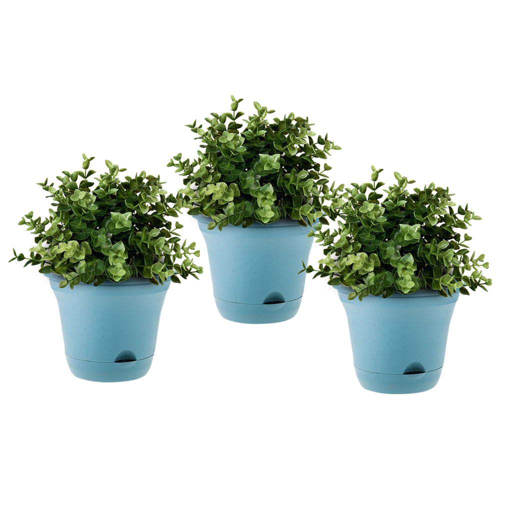 Blue Plastic Plant Self Watering Indoor Outdoor Plant Pot Set of 3