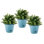 Blue Plastic Plant Self Watering Indoor Outdoor Plant Pot Set of 3
