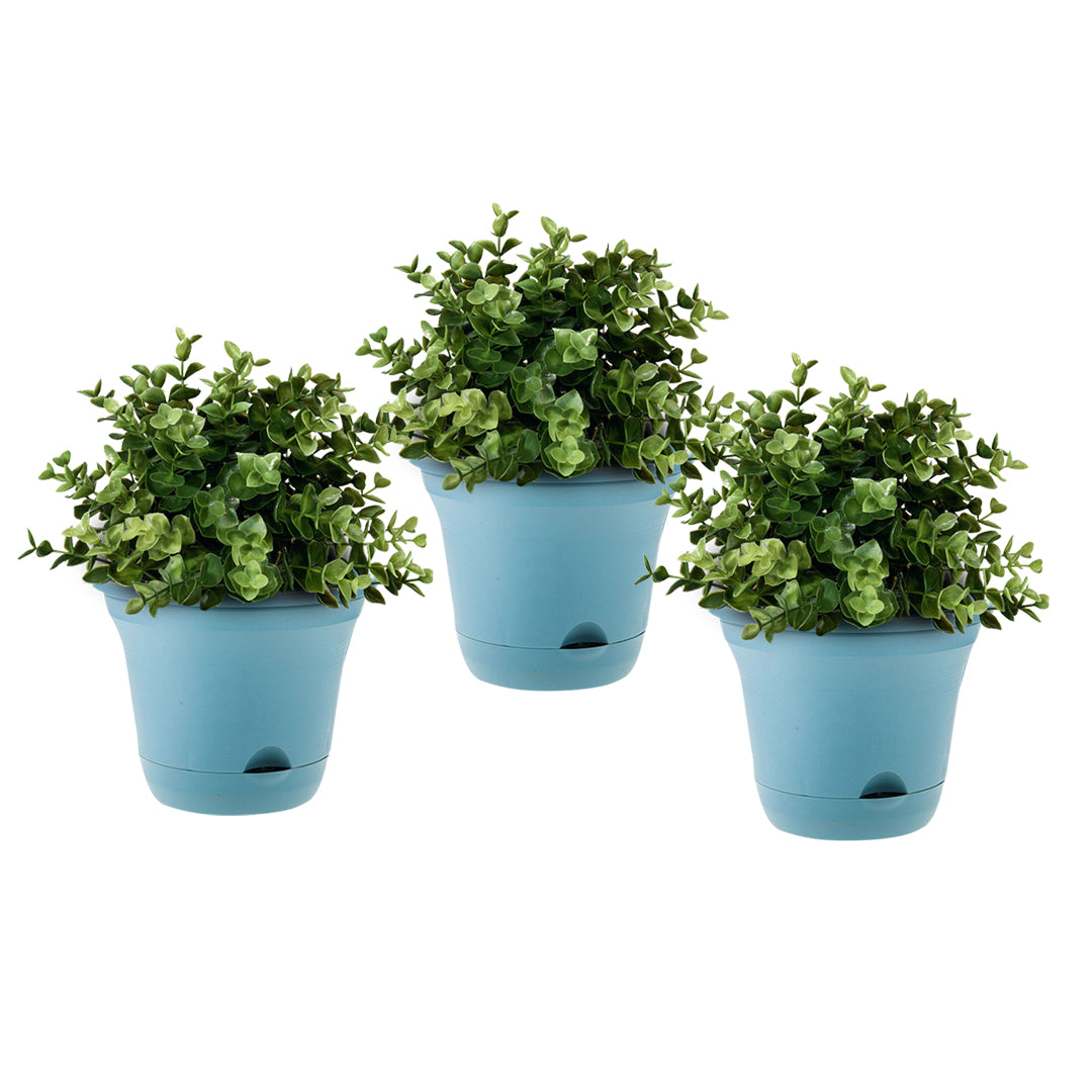 Blue Plastic Plant Self Watering Indoor Outdoor Plant Pot Set of 3