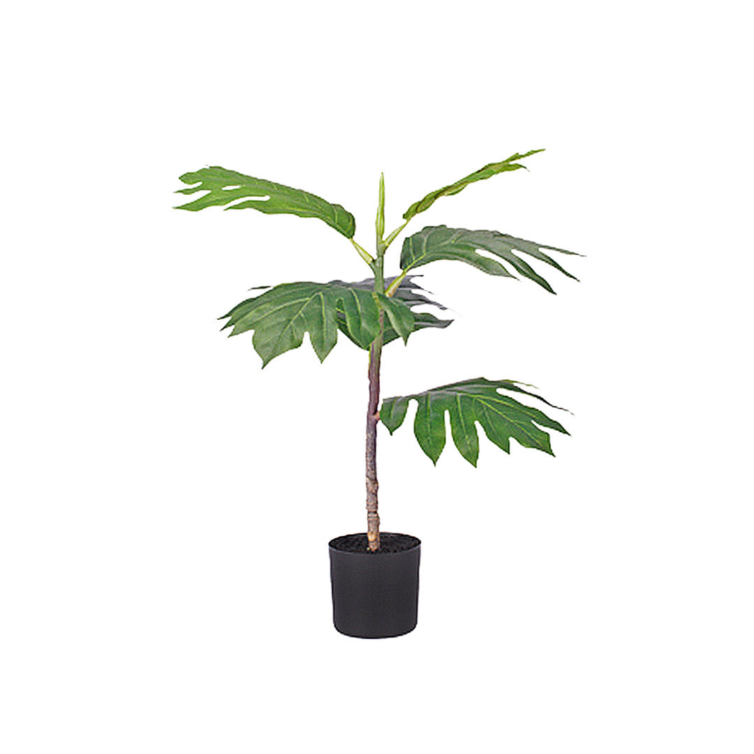 60cm Philodendron Artificial Plant