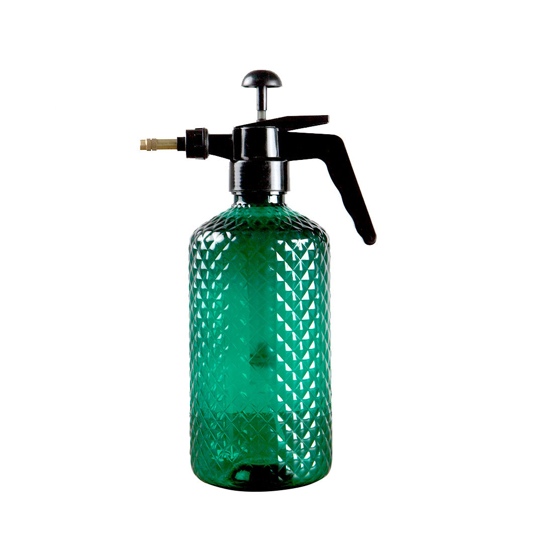 2L Handheld Water Spray Bottle with Top Pump