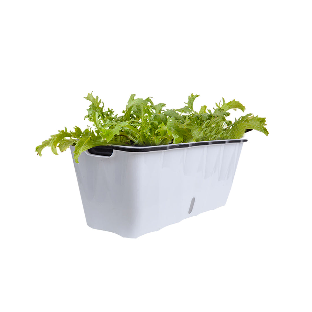 White Rectangular Flowerpot Vegetable Herb Planters Box Large