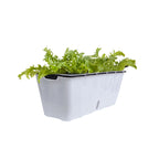 White Rectangular Flowerpot Vegetable Herb Planters Box Small