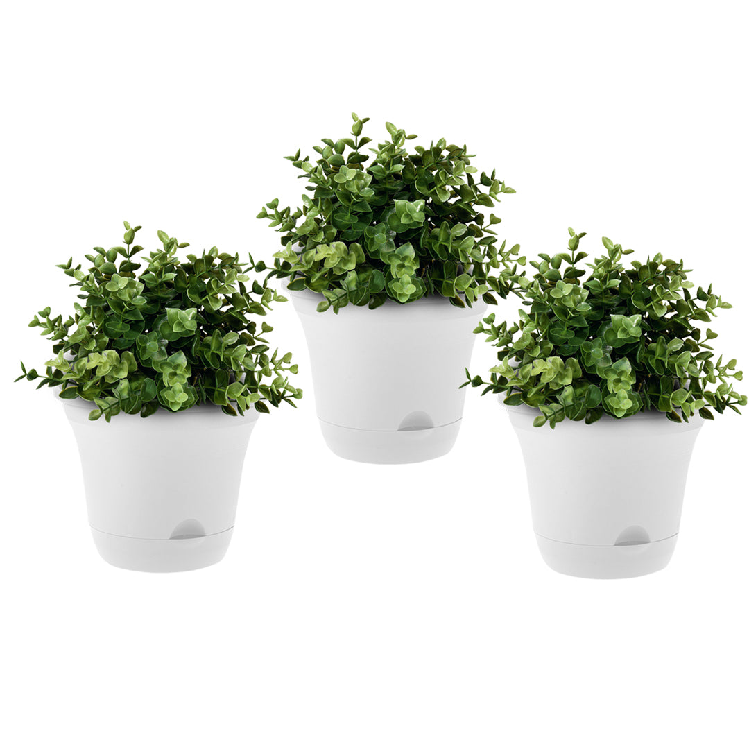 White Plastic Plant Self Watering Indoor Outdoor Plant Pot Set of 3