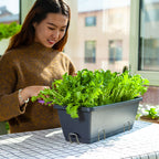 49.5cm Black Rectangular Vegetable Herb Flower Planter Box Set of 2
