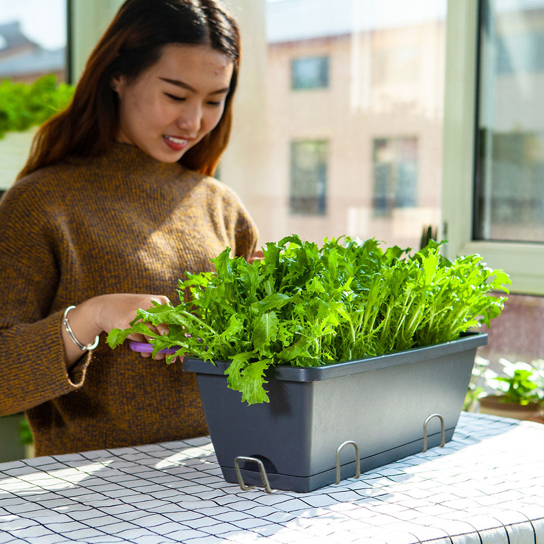 49.5cm Black Rectangular Vegetable Herb Flower Planter Box Set of 2