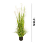 150cm Artificial Indoor Potted Reed Grass Tree