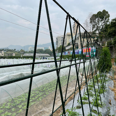 120cm Plant Frame Tube Trellis