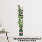 163cm 4-Bar Plant Frame Stand