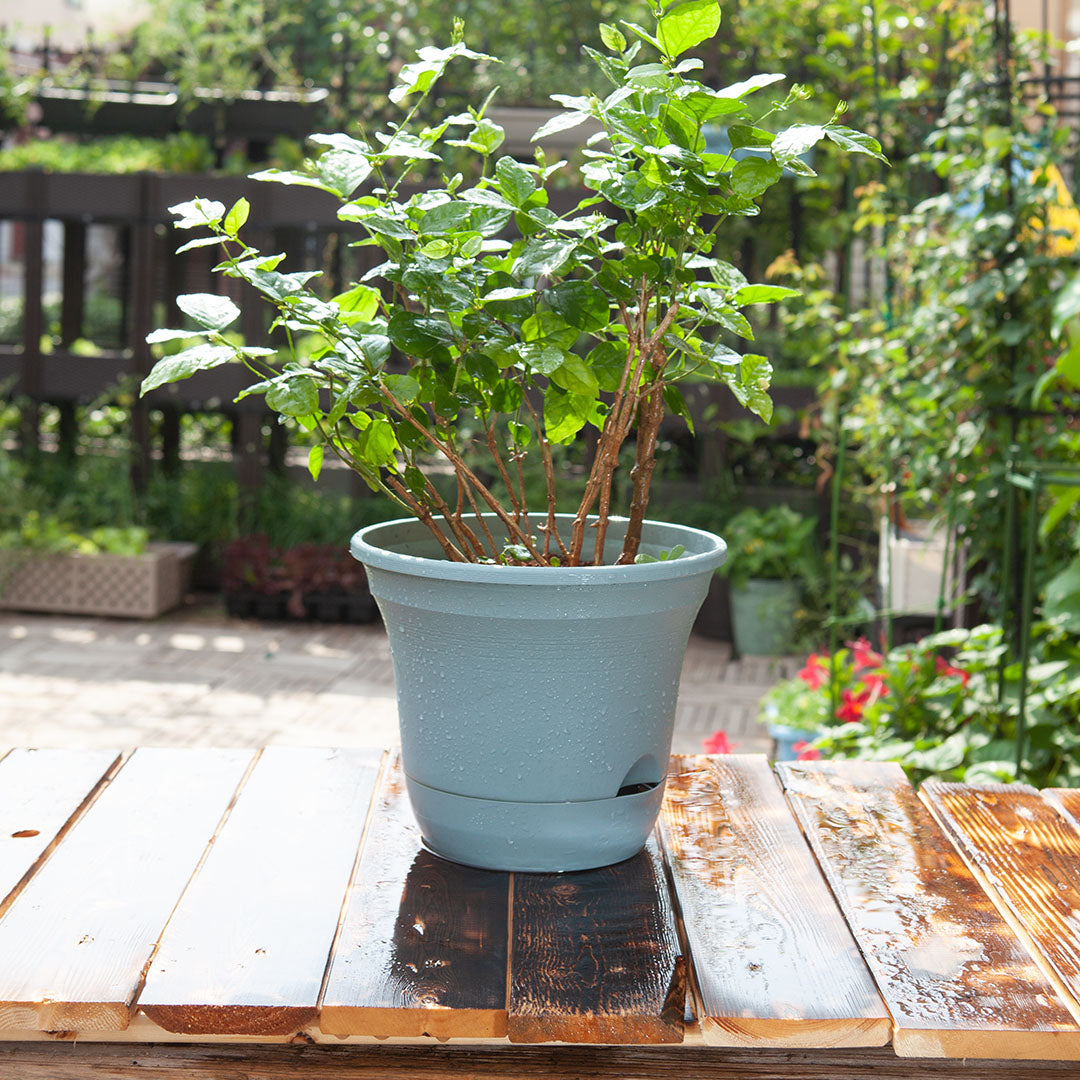 Blue Plastic Plant Self Watering Indoor Outdoor Plant Pot Set of 2