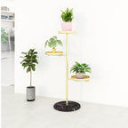 3 Tier Gold Round Plant Stand