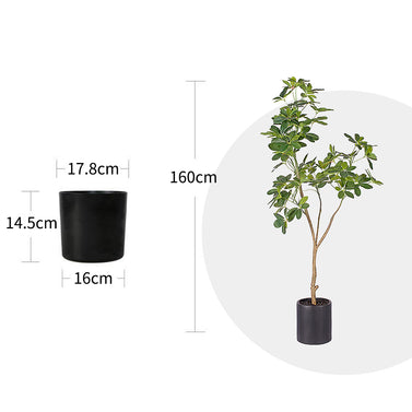 160cm Schefflera Artificial Plant