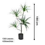 180cm Green Artificial Indoor Brazlian Iron Tree 4 Heads