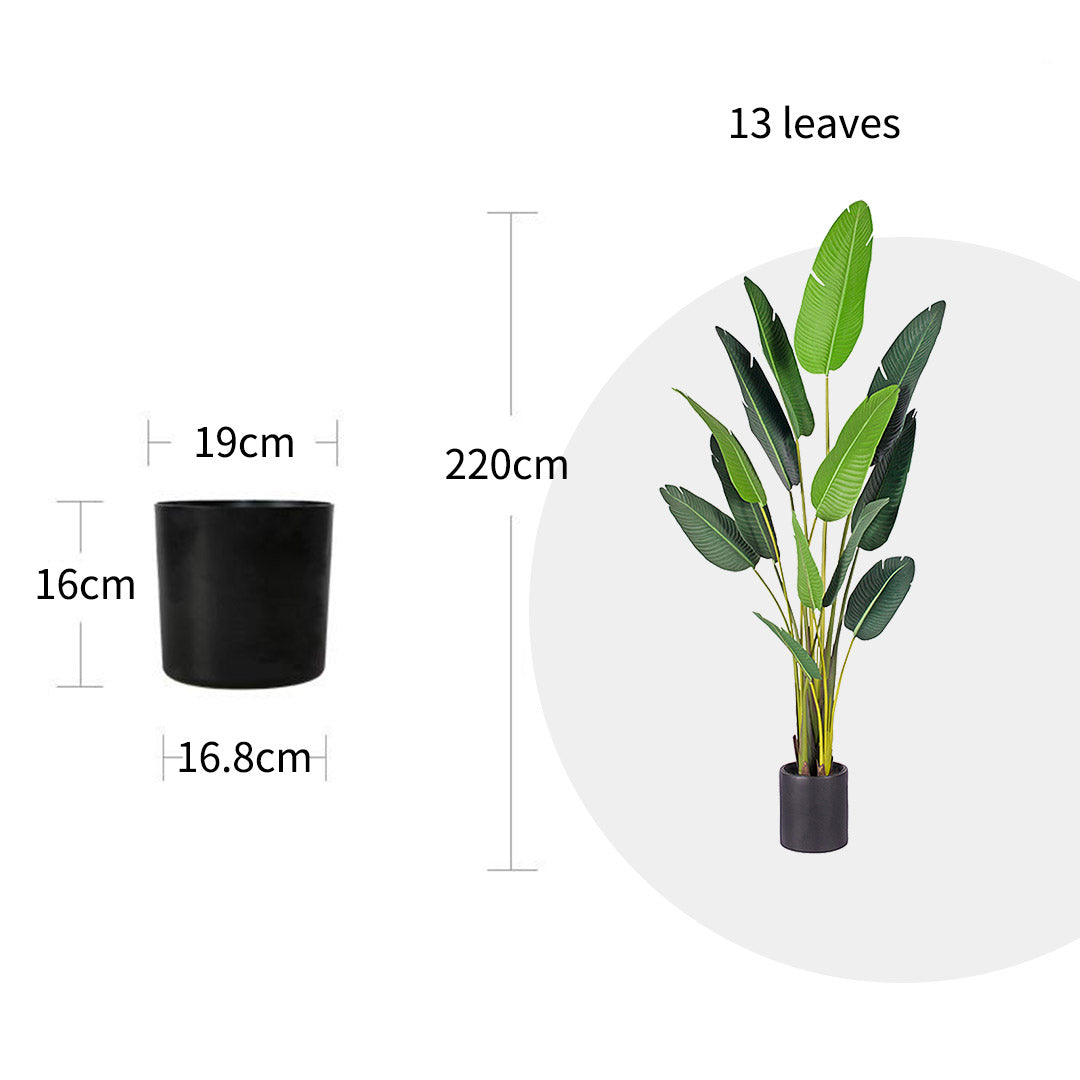 220cm Birds of Paradise Artificial Plant