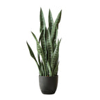 97cm Artificial Indoor Snake Sansevieria Plant
