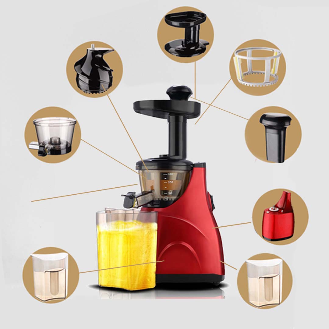 Cold Press Slow Juicer Green