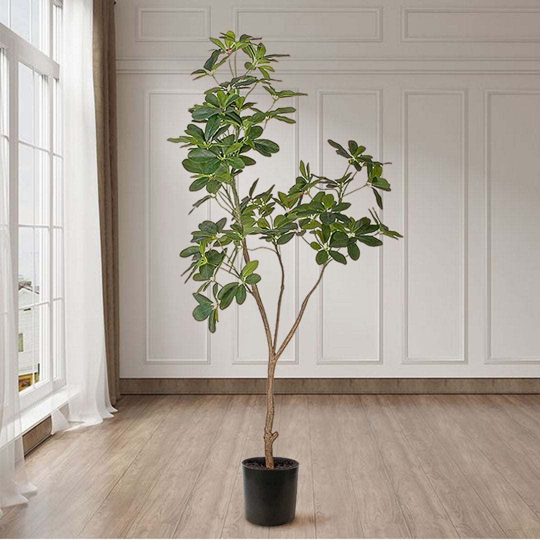 160cm Schefflera Artificial Plant