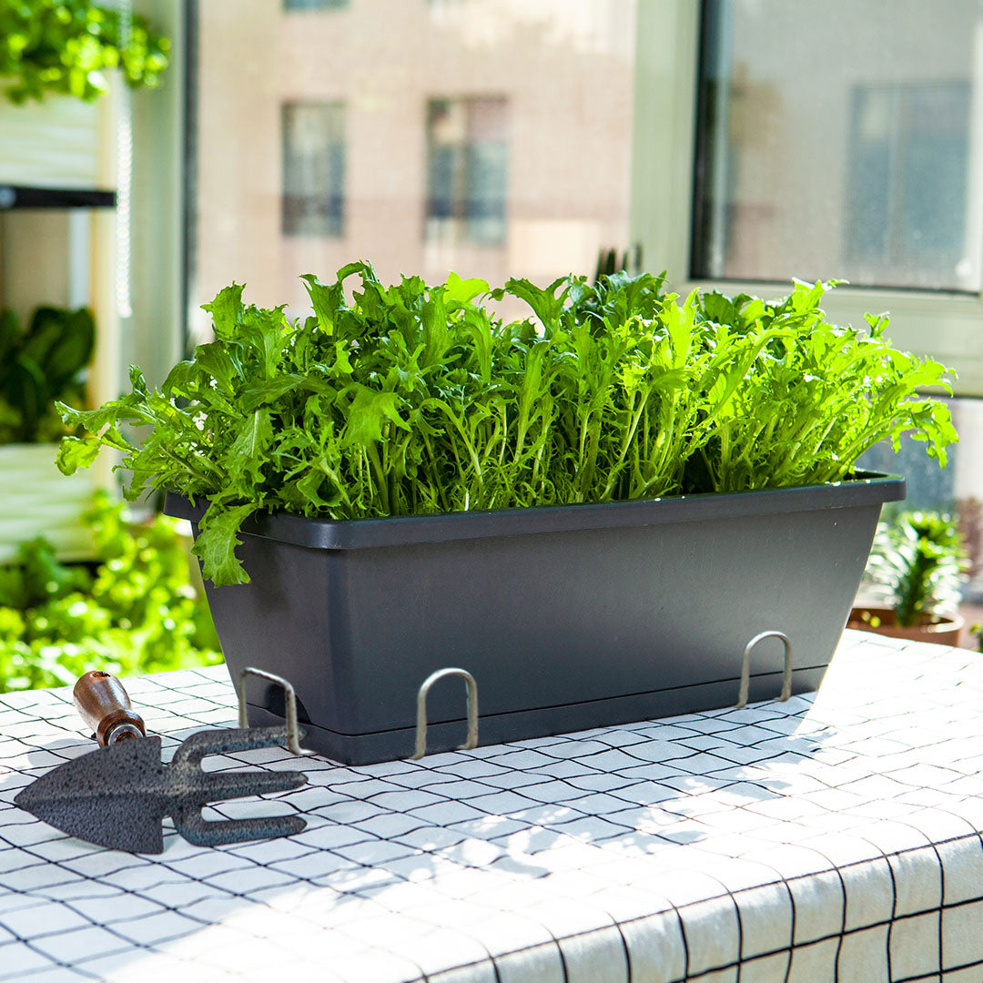 49.5cm Black Rectangular Vegetable Herb Flower Planter Box Set of 3