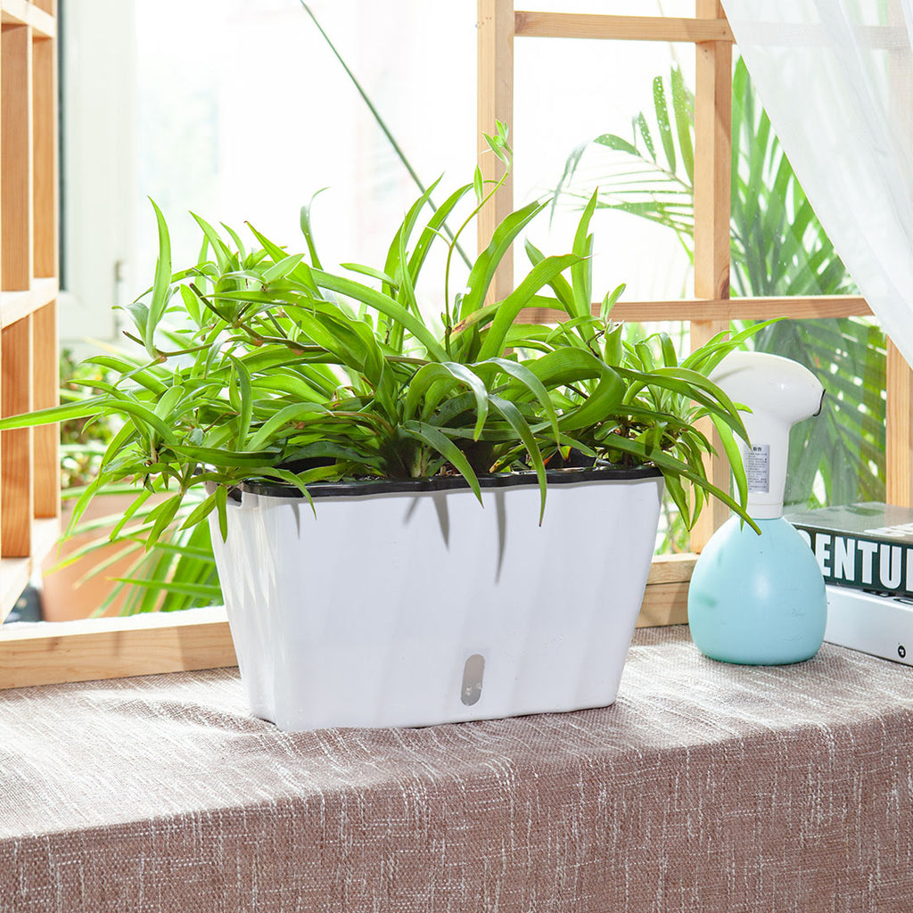 White Rectangular Flowerpot Vegetable Herb Planters Box Small