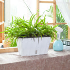 White Rectangular Flowerpot Vegetable Herb Planters Box Small