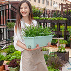 49.5cm Green Rectangular Vegetable Herb Flower Planter Box Set of 3