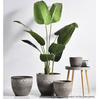 27cm Rock Grey Round Resin Planter
