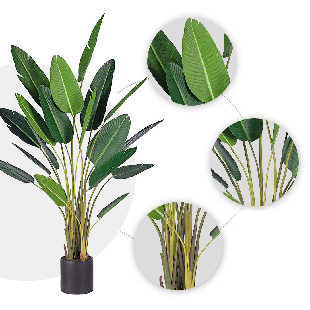 245cm Birds of Paradise Artificial Plant
