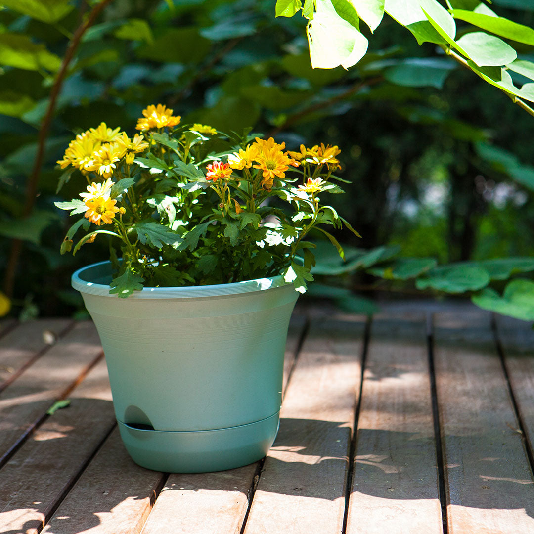 Blue Plastic Plant Self Watering Indoor Outdoor Plant Pot Set of 3
