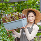 49.5cm Blue Rectangular Vegetable Herb Flower Planter Box Set of 4