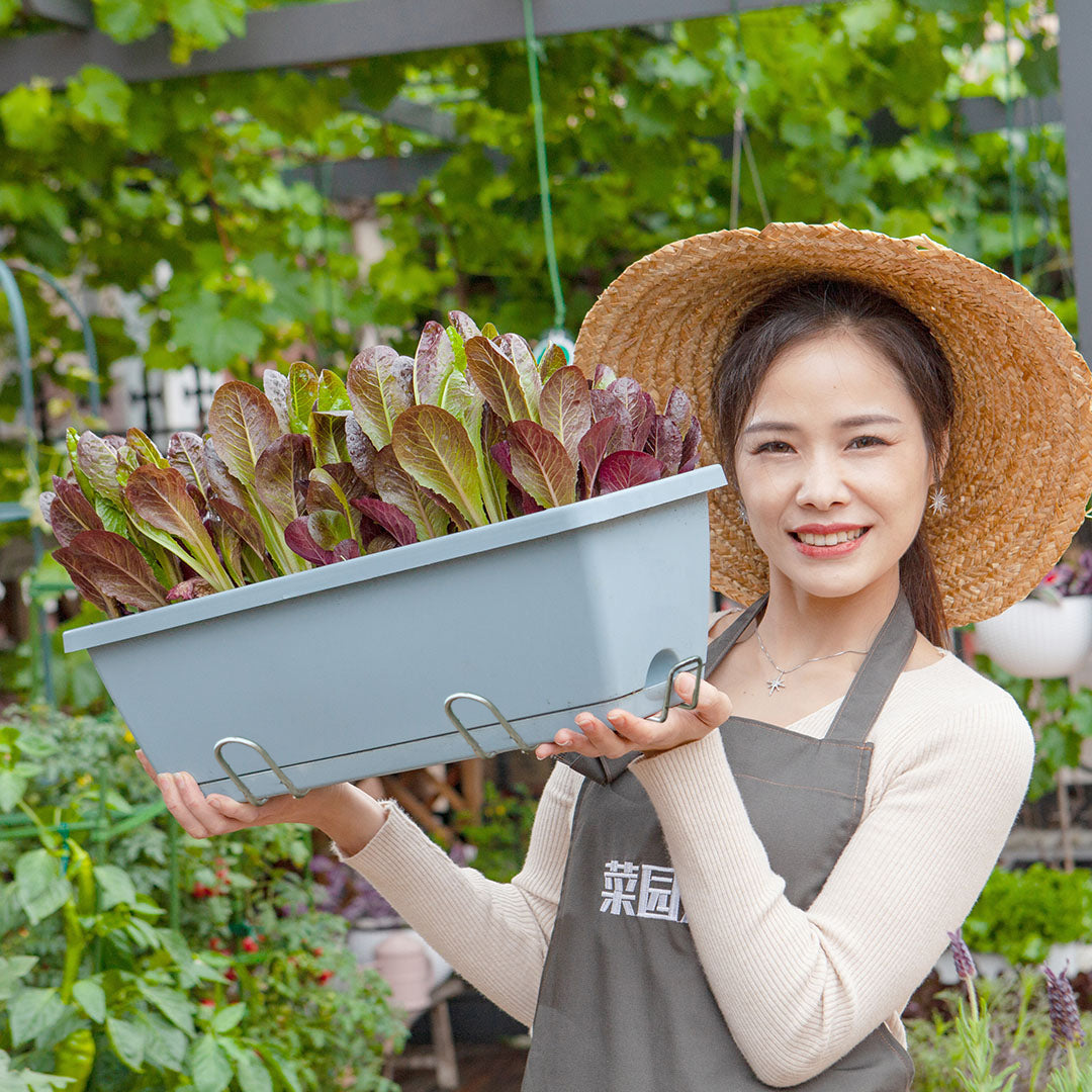 49.5cm Blue Rectangular Vegetable Herb Flower Planter Box Set of 4