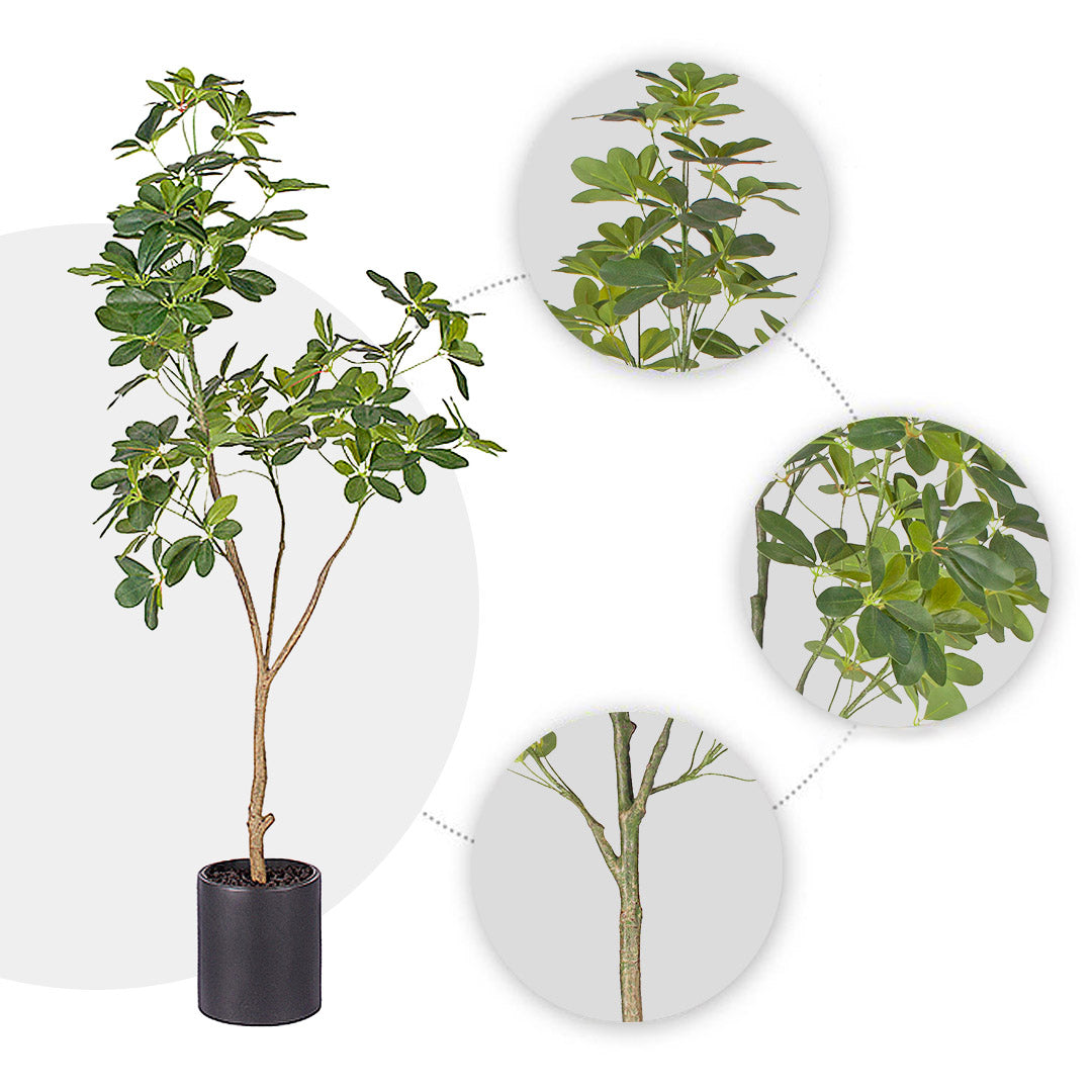 160cm Schefflera Artificial Plant