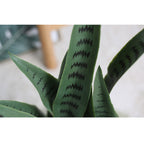 95cm Artificial Indoor Snake Sansevieria Plant