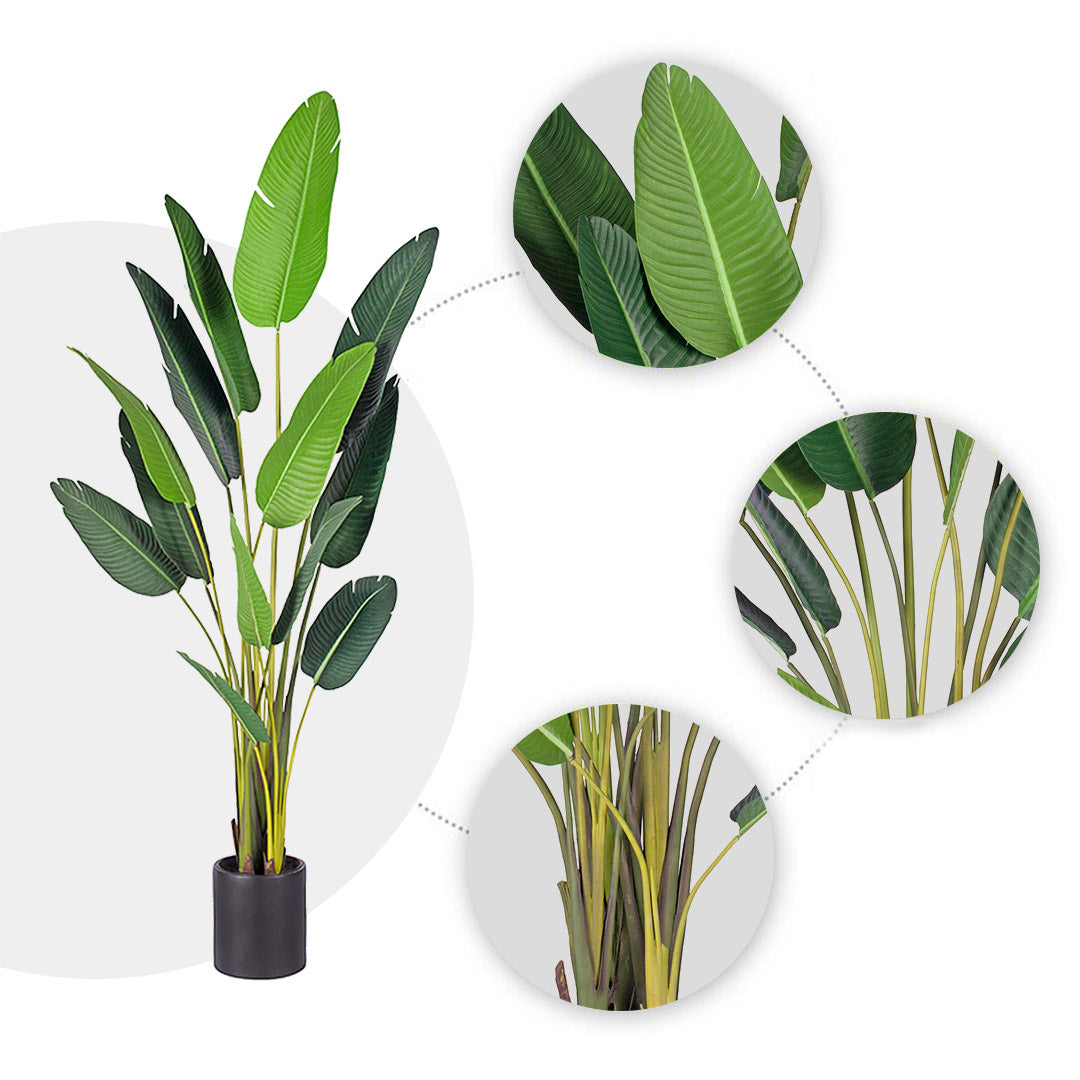 220cm Birds of Paradise Artificial Plant