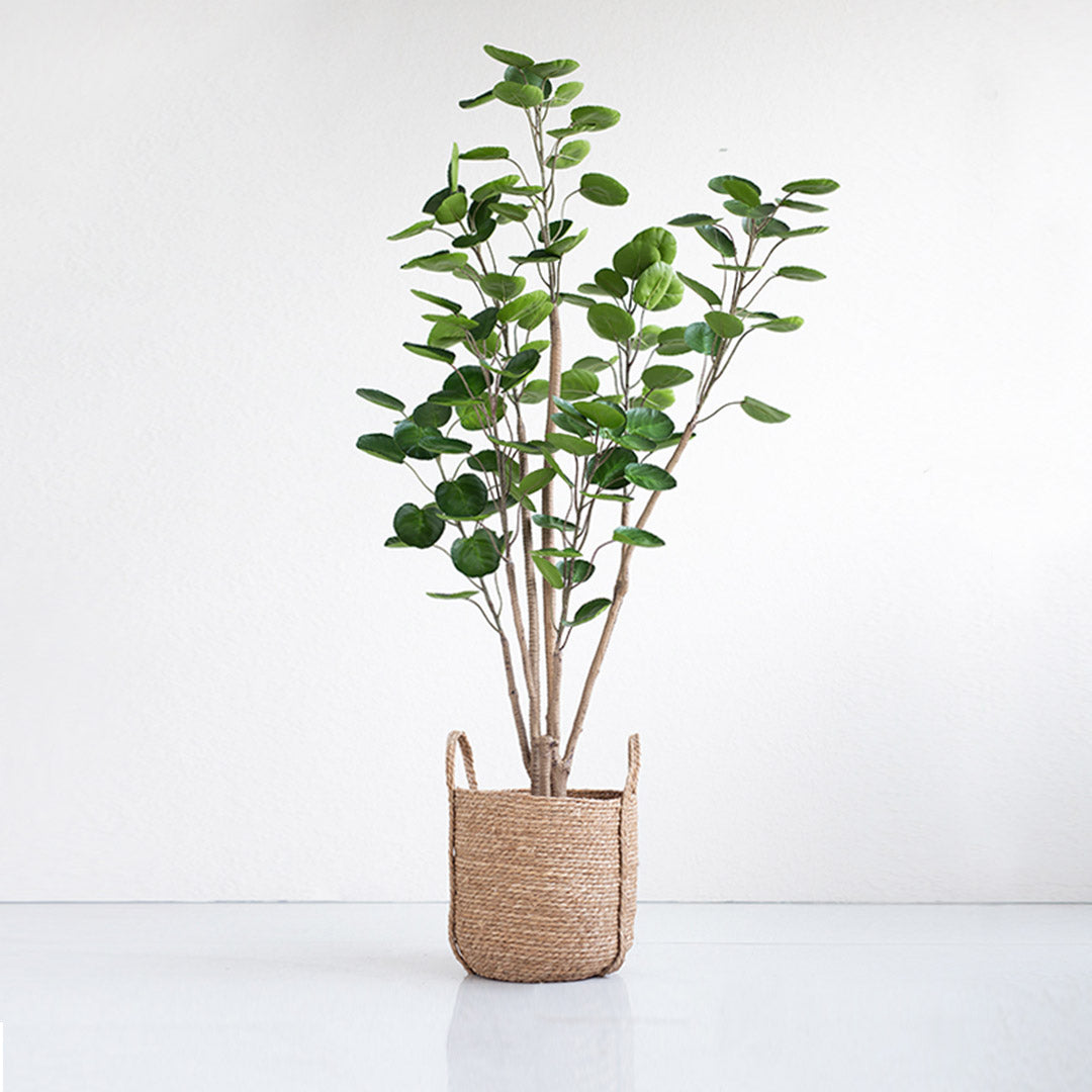 180cm Artificial Indoor Pocket Money Tree