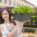 49.5cm Black Rectangular Vegetable Herb Flower Planter Box Set of 2