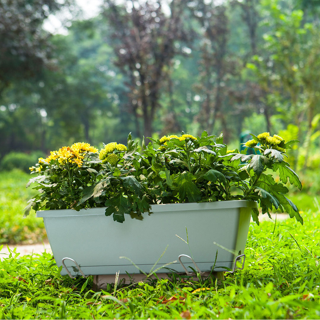 49.5cm Blue Rectangular Vegetable Herb Flower Planter Box Set of 2