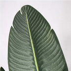 120cm Artificial Traveler Banana Plant