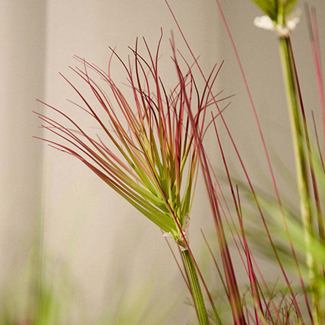 150cm Purple-Red Artificial Indoor Potted Papyrus Plant Tree