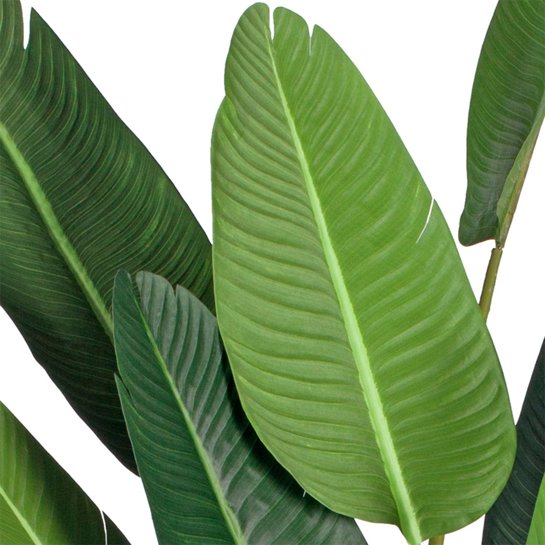 220cm Birds of Paradise Artificial Plant