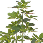 120cm Schefflera Artificial Plant