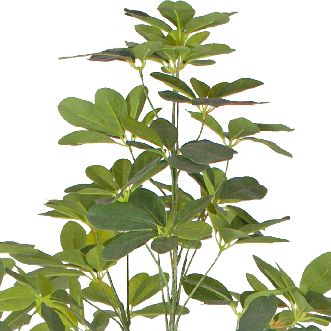 120cm Schefflera Artificial Plant