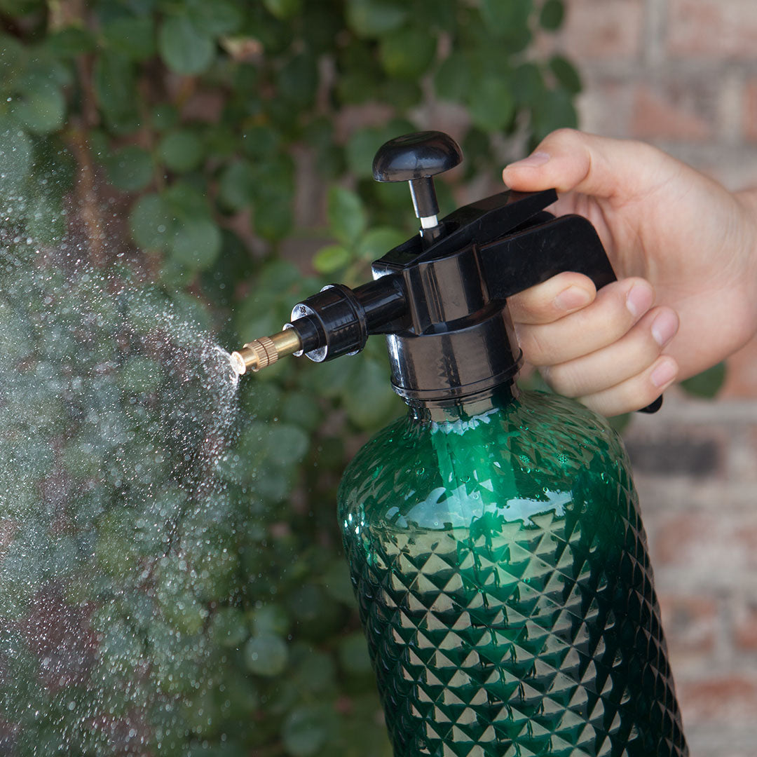2L Handheld Water Spray Bottle with Top Pump
