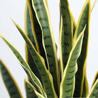 70cm Artificial Yellow Edge Tiger Piran Plant