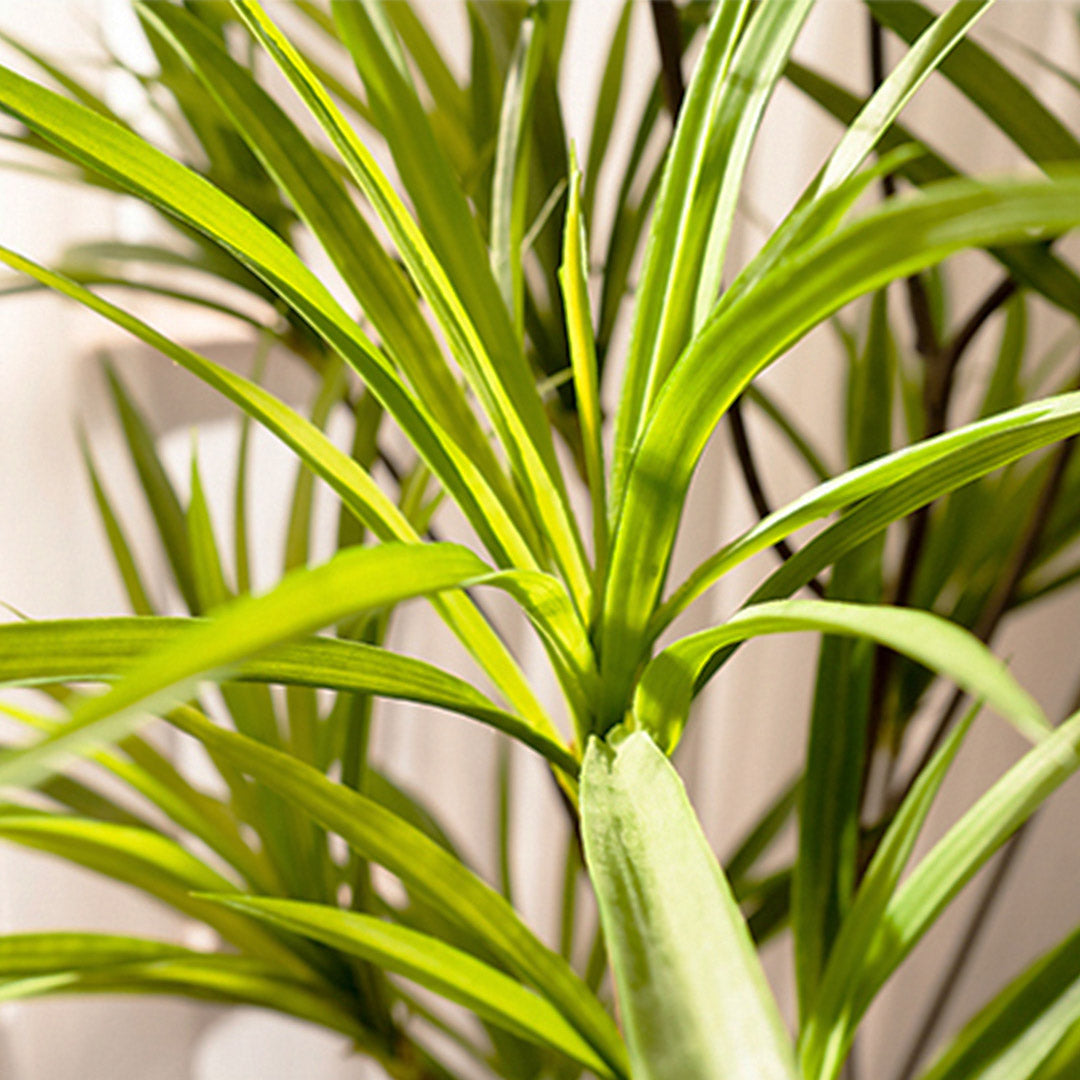 120cm Dracaena Dragon Artificial Plant