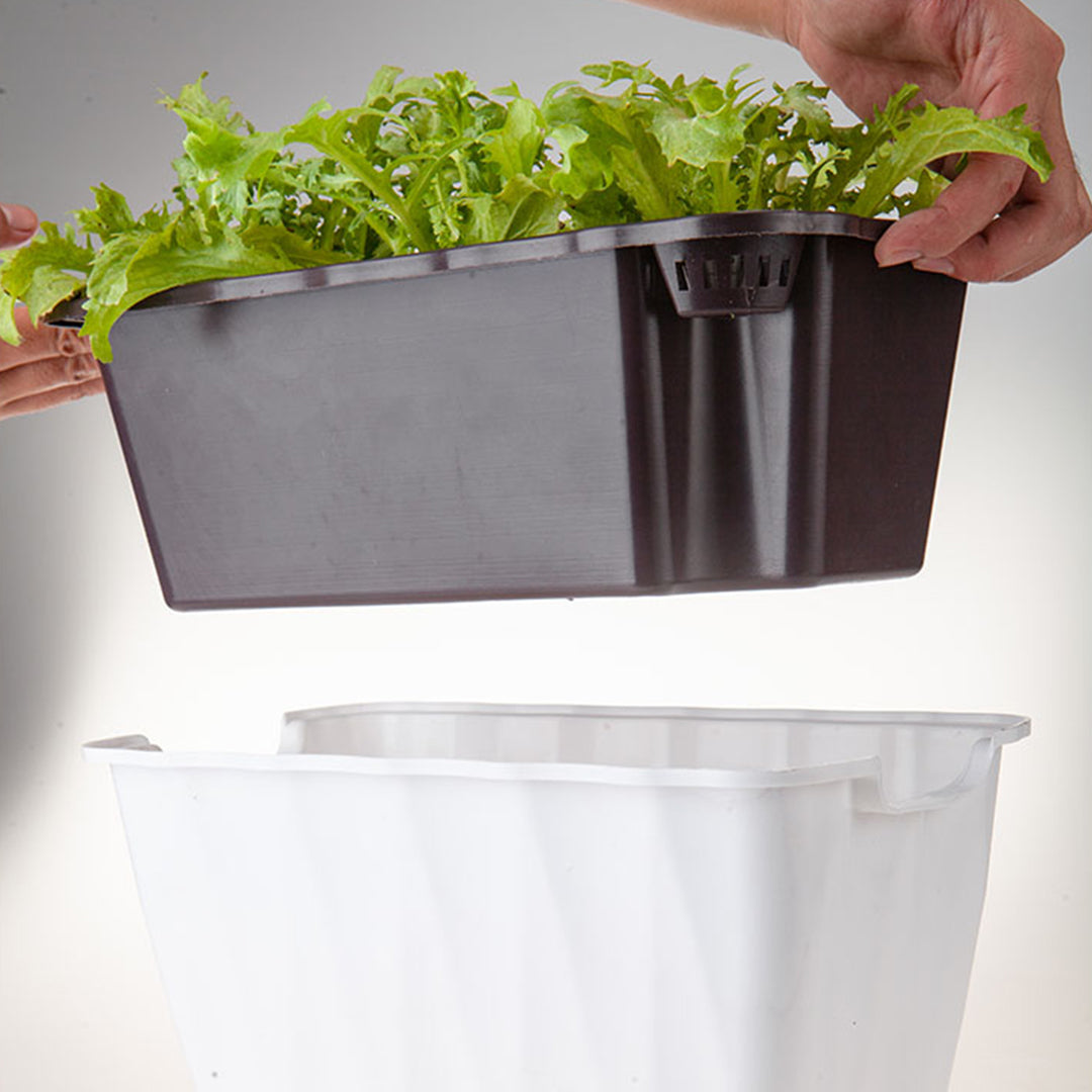 White Rectangular Flowerpot Vegetable Herb Planters Box Small