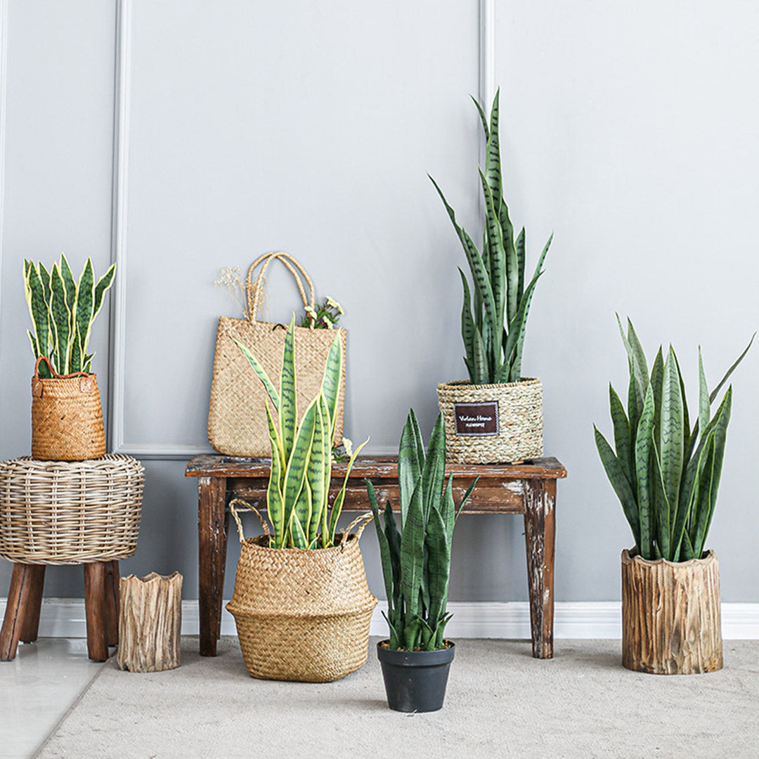 95cm Artificial Indoor Snake Sansevieria Plant