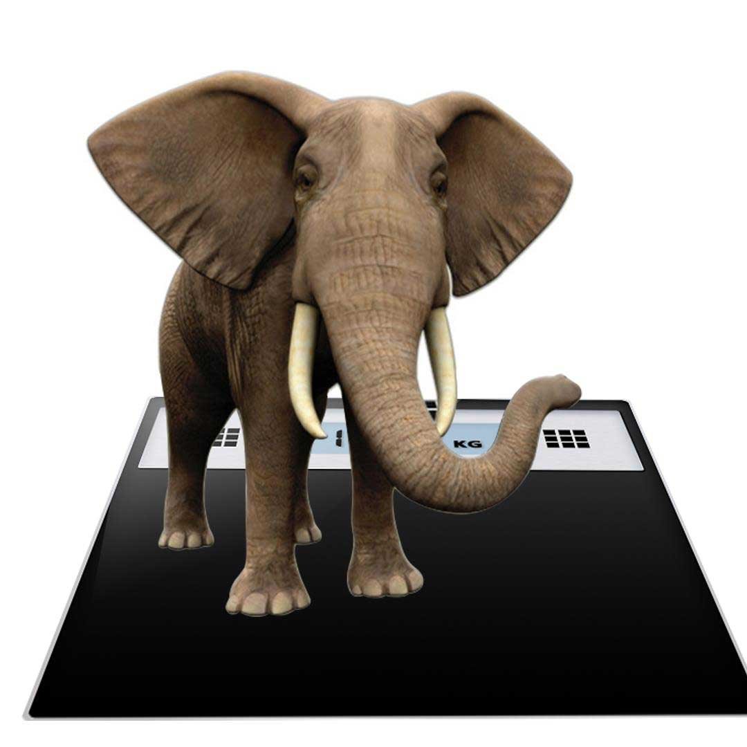 180kg Electronic Talking Scale Stainless