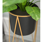 50CM Gold Wire Metal Black Pot Holder Rack